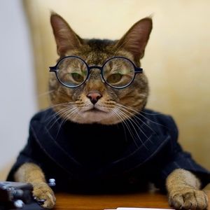 Meet your Posher, Lena